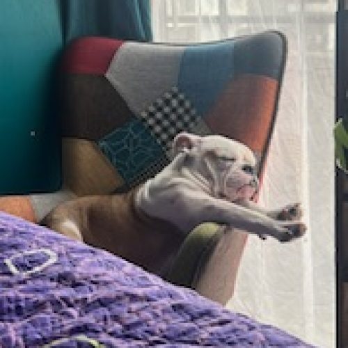 58148921-BA5B-4C95-98A0-B672CADE5F05