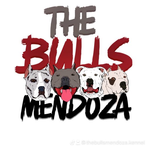 7B3BBC6B-8AD6-4F0C-9ECF-2A028D69990A