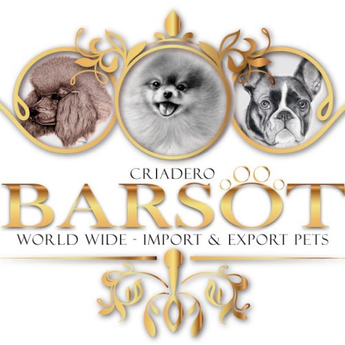 B926E4CD-D048-4783-B47B-2DC767CFB3FA