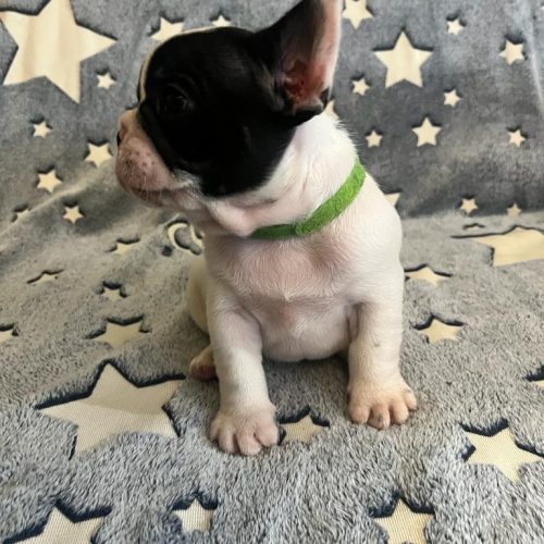 WhatsApp-Image-2023-07-28-at-11.49.17