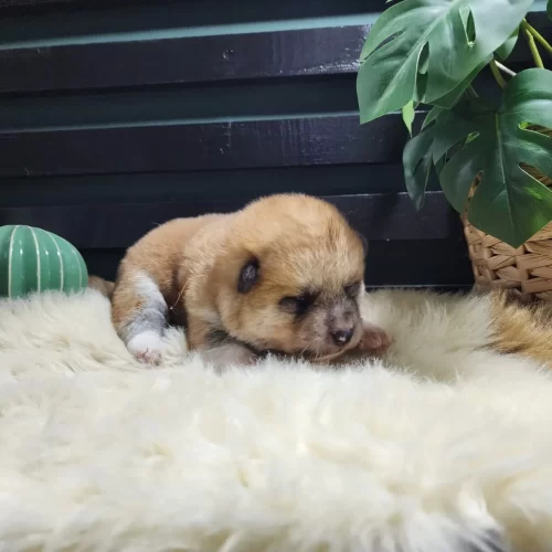 inbound5539216376888790306