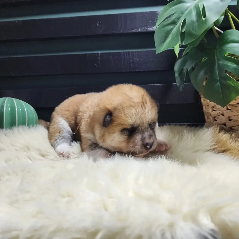 inbound5539216376888790306