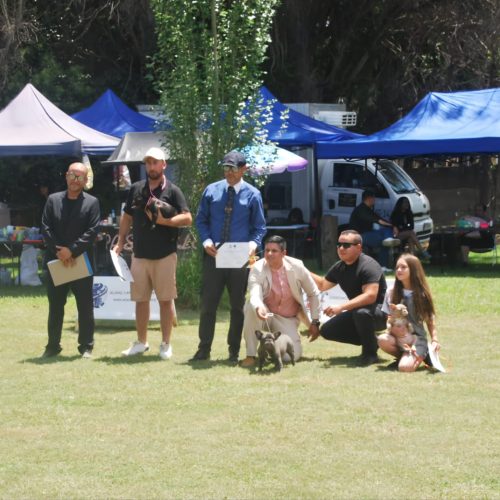 inbound7066767579867858366