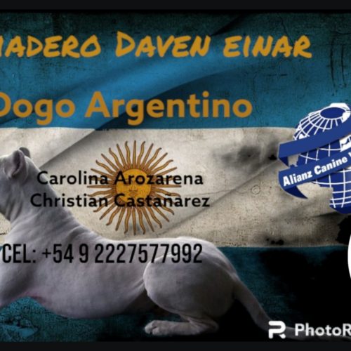 inbound833640941665499159